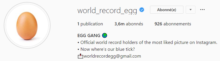 world record egg