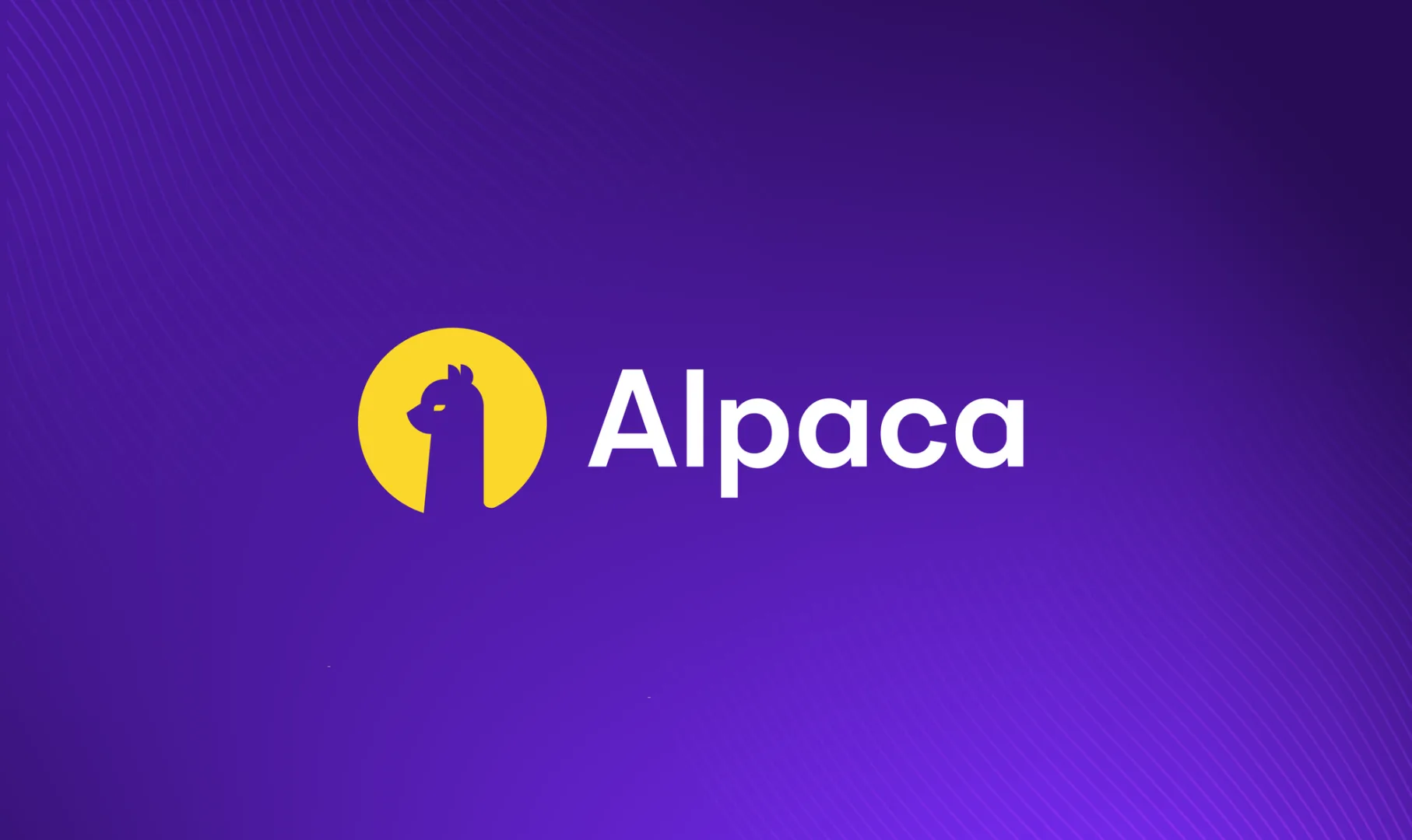 Alpaca Markets déclaration impôts France