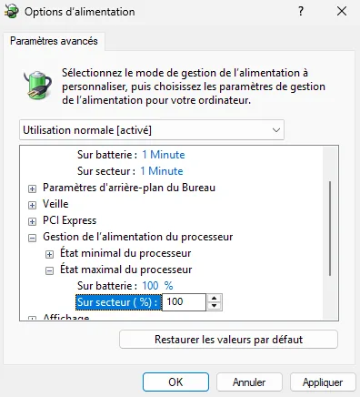 état maximal