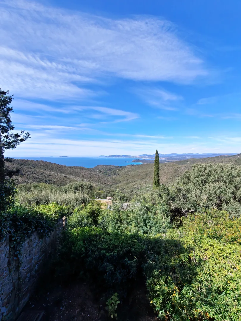 Forêt et Océan pris avec le Honor 600