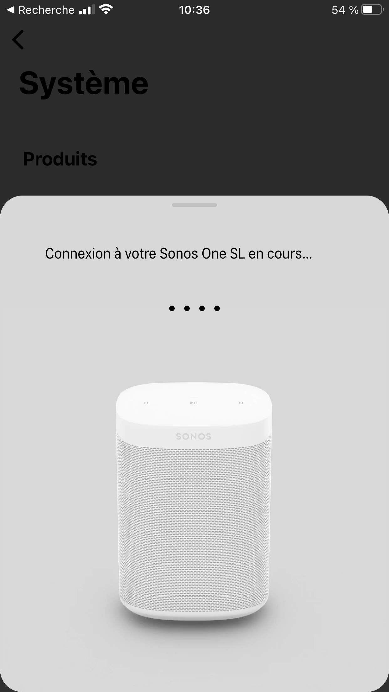 Sonos One SL connexion