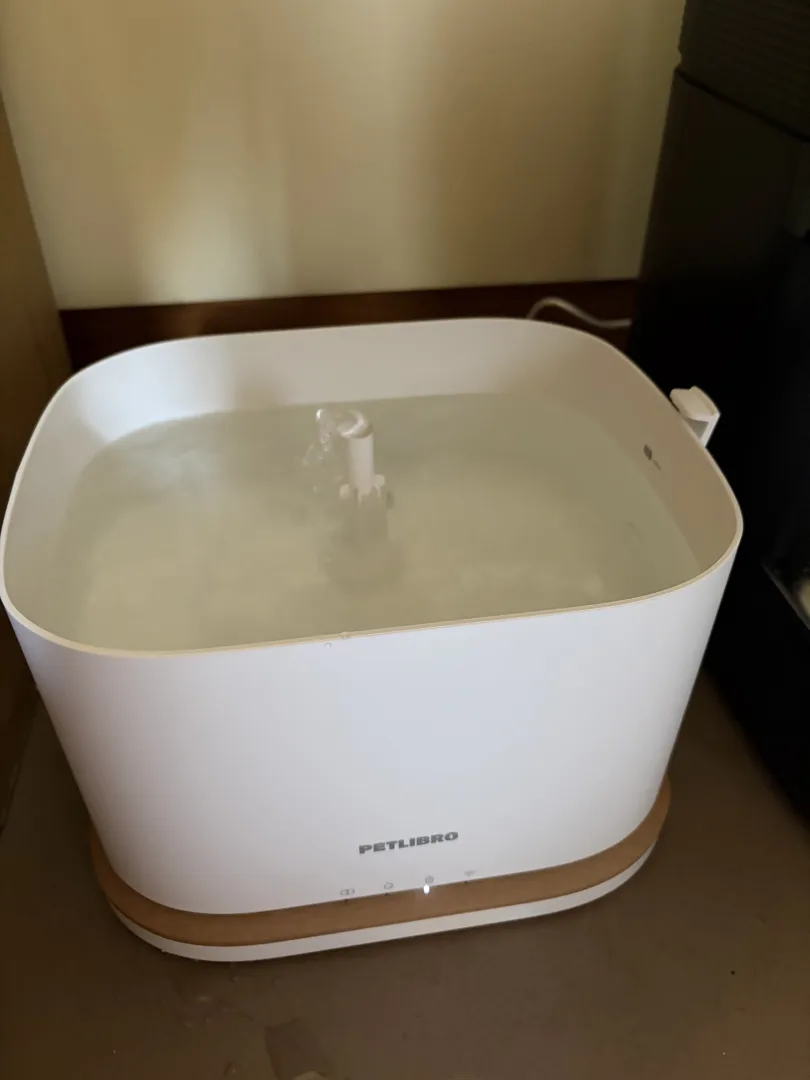 Vue de dessus de la Petlibro Dockstream 2 remplie d'eau avec le bec au centre