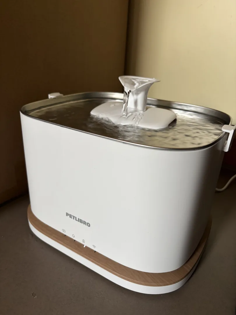 Petlibro Dockstream 2 en fonctionnement avec l'eau qui s'écoule du bec sur le plateau en inox