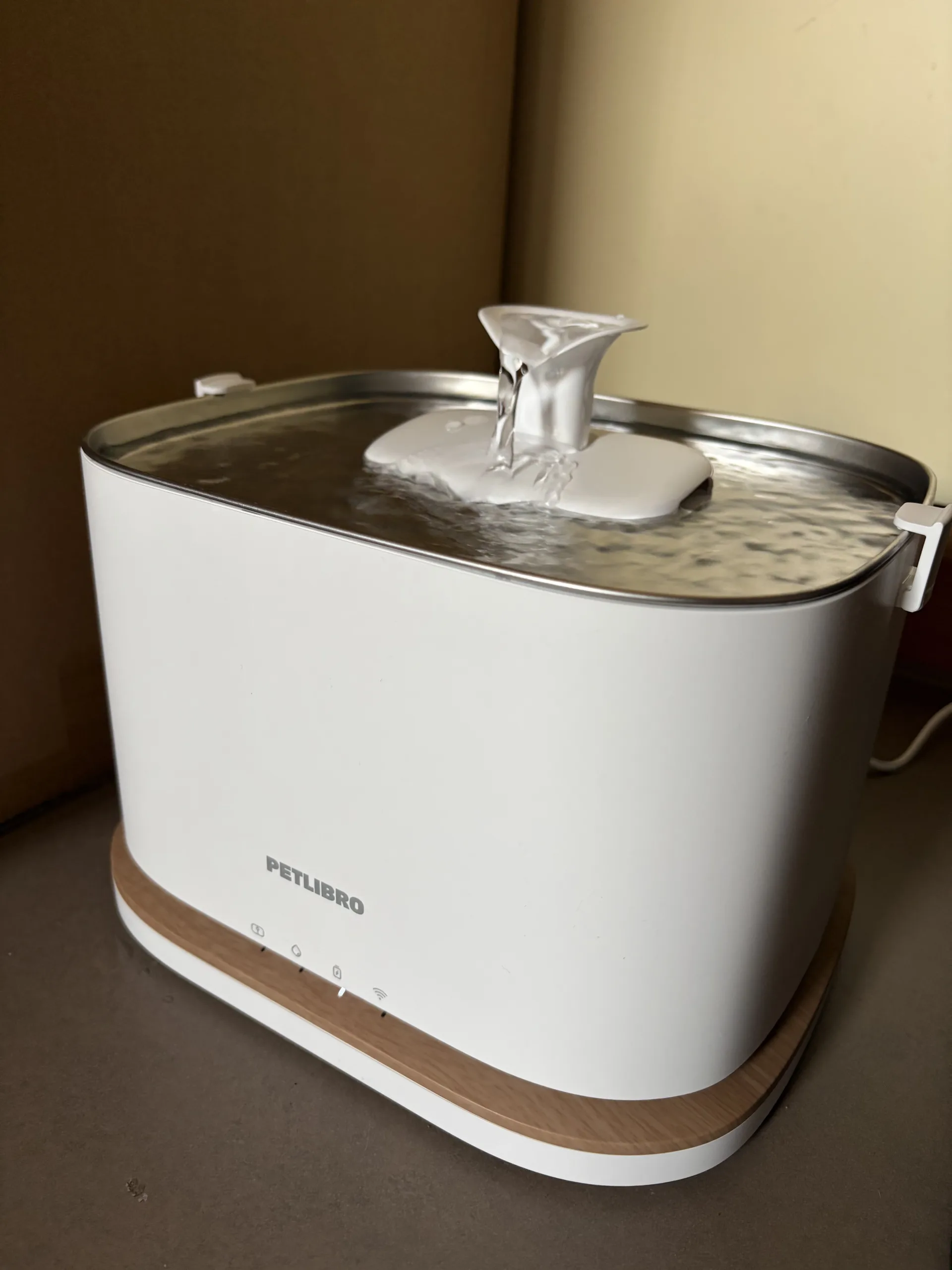Petlibro Dockstream 2 en fonctionnement avec l'eau qui s'écoule du bec sur le plateau en inox