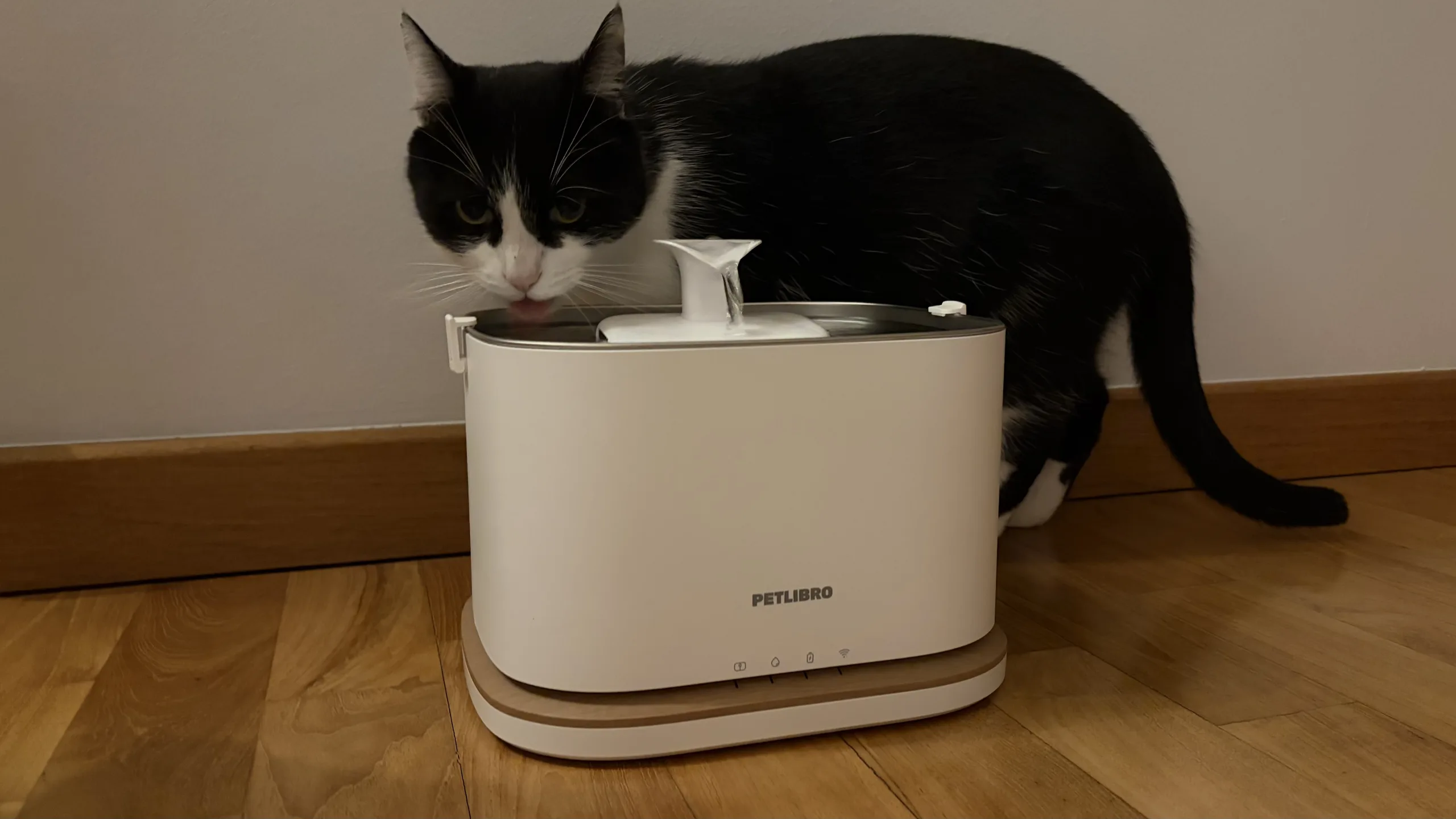 Petlibro Dockstream 2
