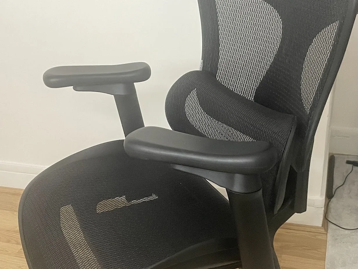 Accoudoir et soutien lombaire de la chaise ergonomique C300