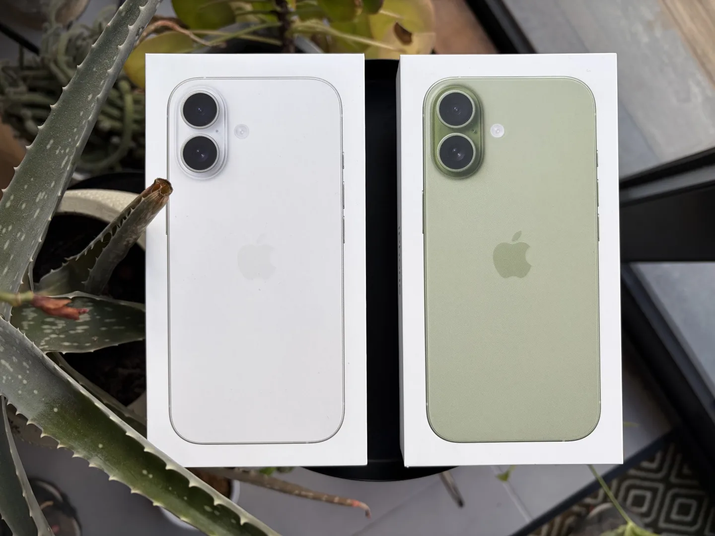 iPhone 17 blanc et iPhone 17 sauge
