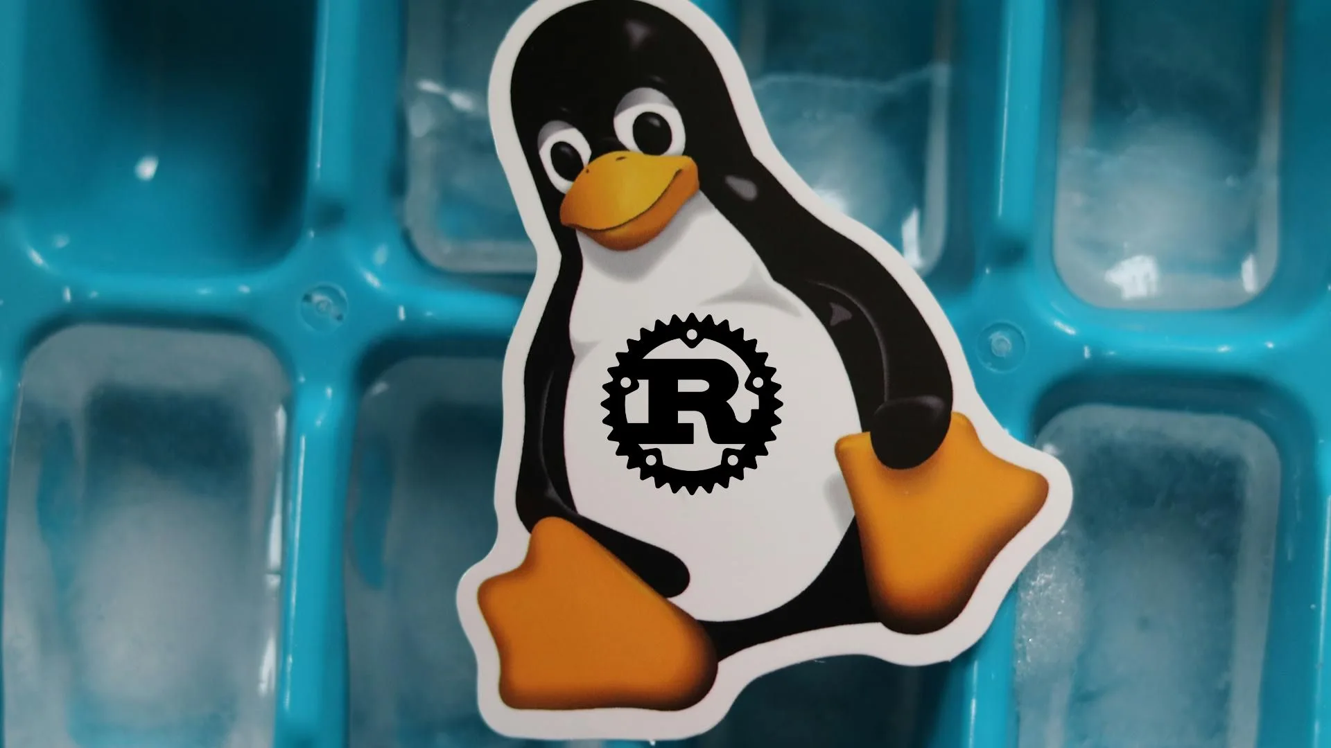 Linux Rust