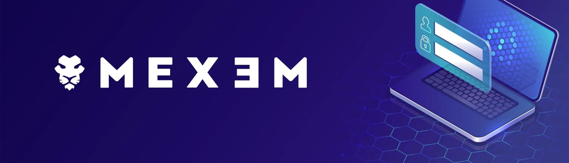 MEXEM déclaration impôts France