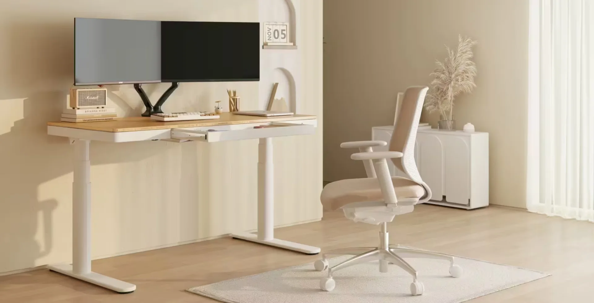 Promo FlexiSpot