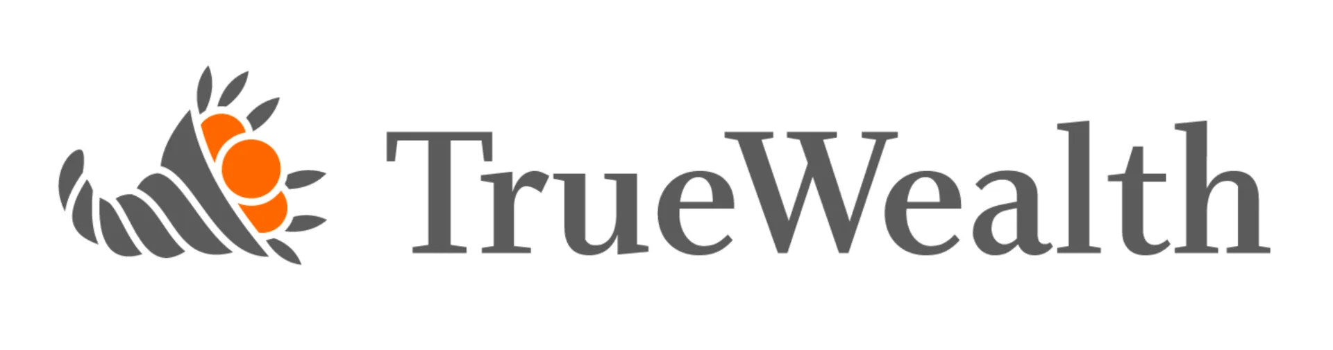 True Wealth déclaration impôts France