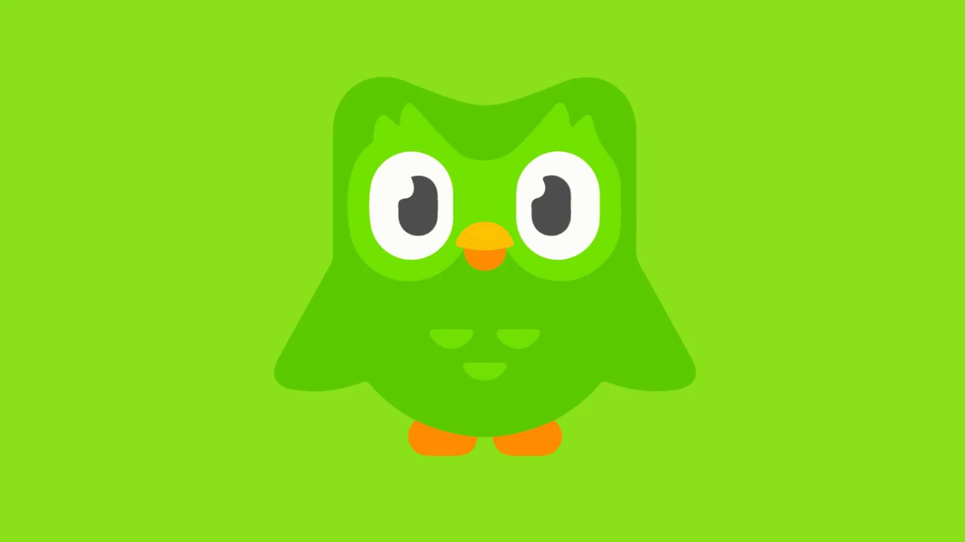 Duolingo est en panne, on ne peut plus prendre de leçons avec Duo