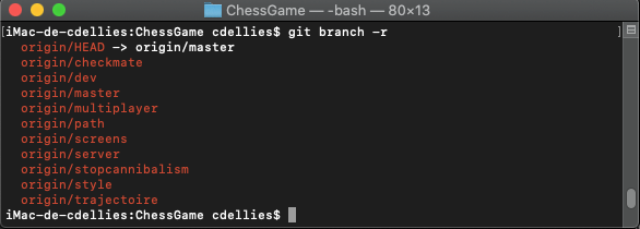 Exemple de branches d'un dépôt git