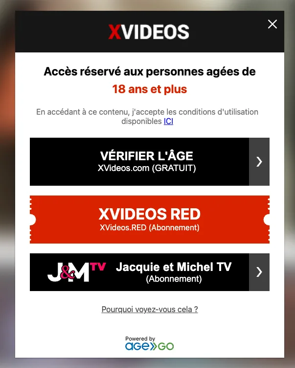 Xvideos bloqué en France