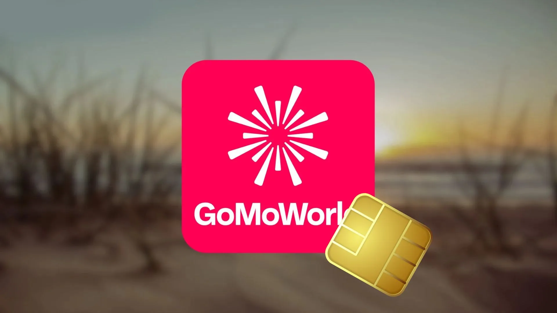 installer esim gomoworld