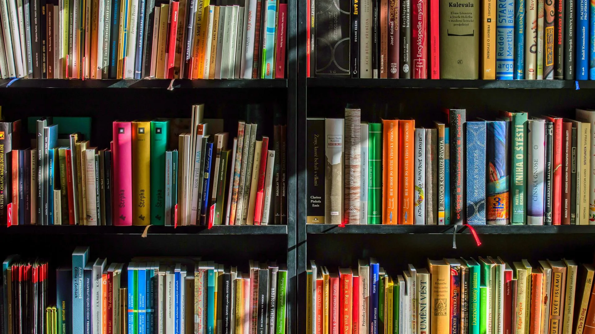 librairie étagère livre