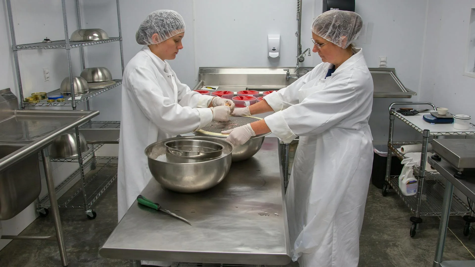 meilleur HACCP