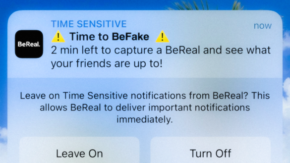 bereal fake befake fake your bereal