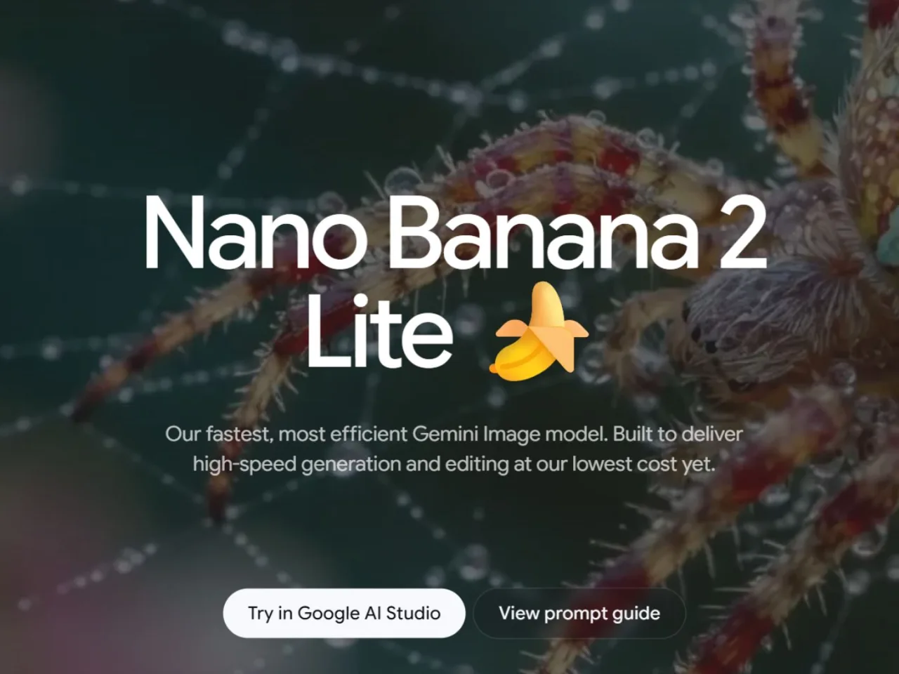 Nano Banana 2 Lite