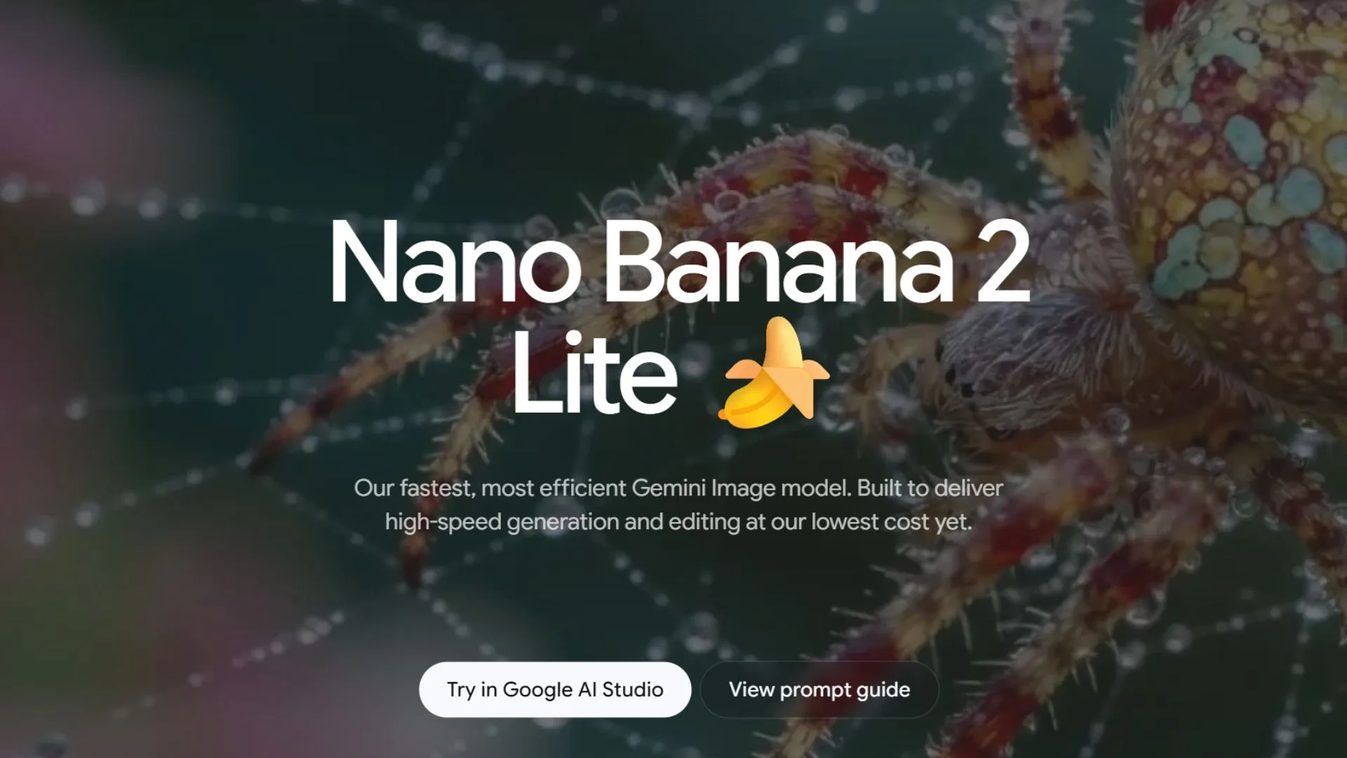 Nano Banana 2 Lite