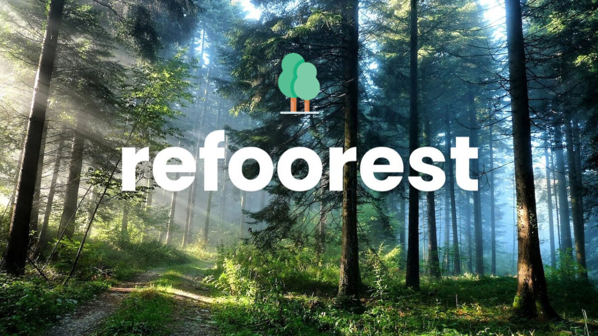 Refoorest : l’extension de navigateur qui permet de planter des arbres gratuitement