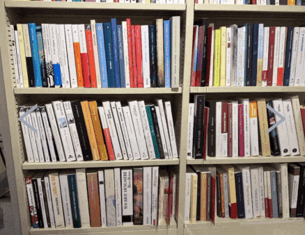 Scan en cours analyse livres BiblioScan