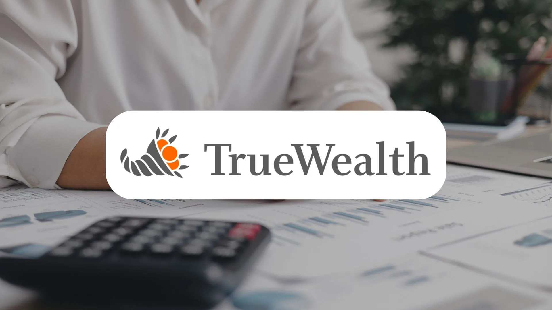 True Wealth déclaration impôts France